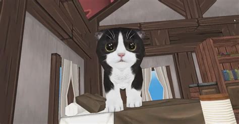 5 VR Apps For Cat Lovers On International Cat Day