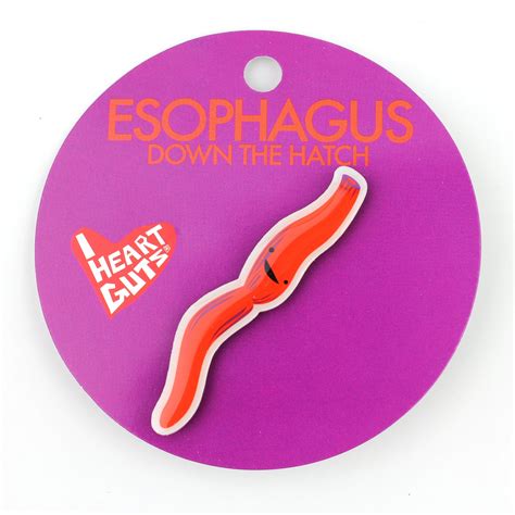 Esophagus Lapel Pin - Down The Hatch | I Heart Guts