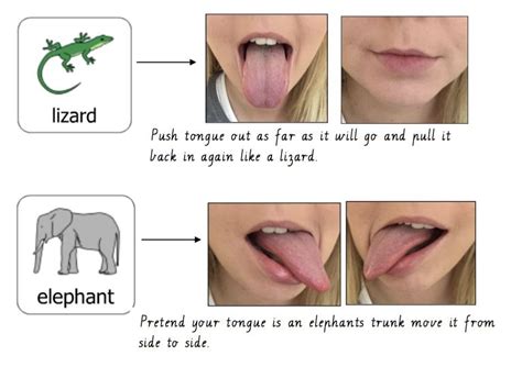 Techniques for eliciting the r sound in speech therapy how to make ...