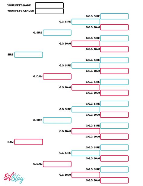 Pedigree Builder - SitStay