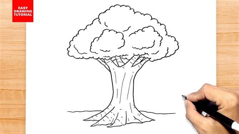 How to draw Oak Tree - YouTube