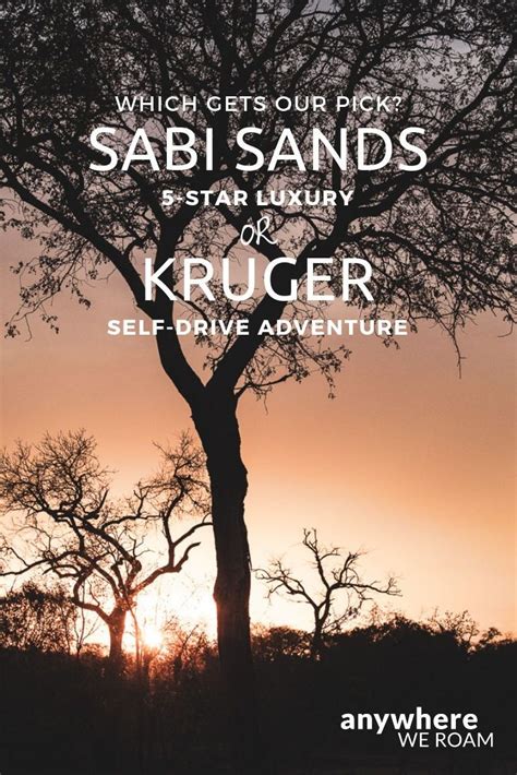 Sabi Sands Vs Kruger - Which Is Better? | Anywhere We Roam | Africa ...