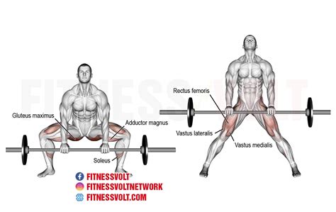 Master the Barbell Sumo Deadlift for Stronger Legs & Back – Fitness Volt