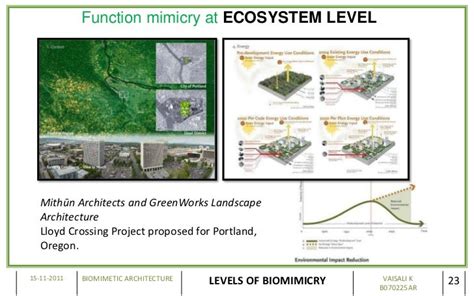 BIOMIMETIC ARCHITECTURE