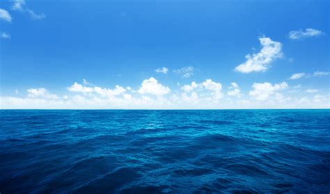 Blue Ocean Strategy - Intrafocus