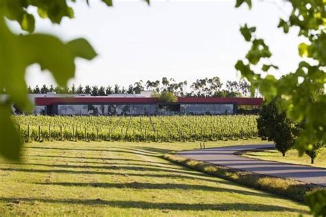 Oakridge Wines – d'Luxe Classic Car Tours