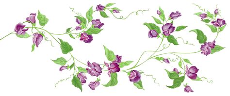 Free Flower Vine Png, Download Free Flower Vine Png png images, Free ...