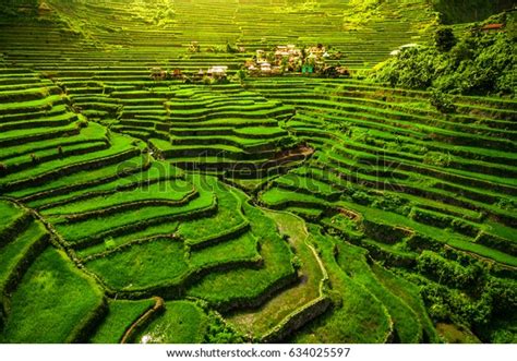 World Heritage Ifugao Rice Terraces Batad Stock Photo 634025597 ...