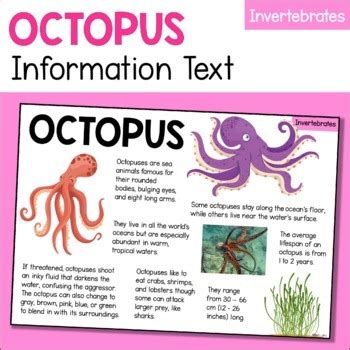 Octopus Animal Fact Sheet - Diet, Habitat, Features, Size etc ...