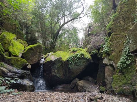 Skyline Wilderness Park: Photo Of The Week | Napa Valley, CA Patch