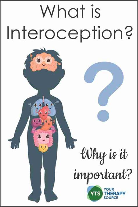 What is Interoception? - Your Therapy Source