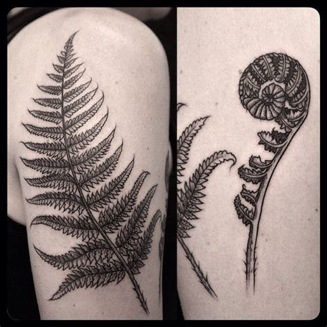 Image result for silver fern tattoo realistic | Fern tattoo, Pattern ...