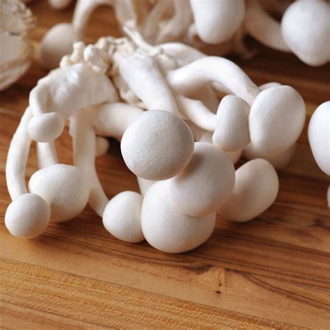 Fresh White Beech Mushrooms | Shop D'Artagnan