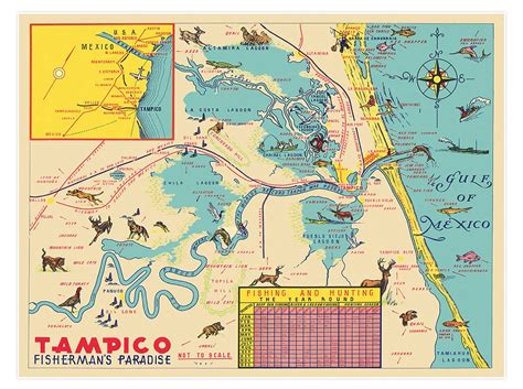 Tampico Tamaulipas Mexico Map Patronato De Turismo De | Etsy