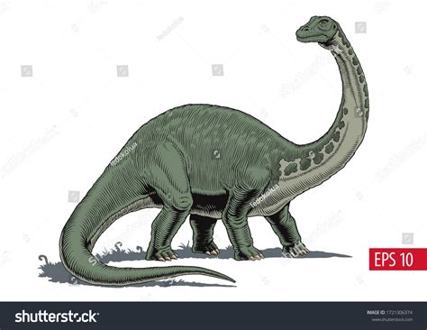 11,749 Dinosaur Brontosaurus Stock Vectors and Vector Art | Shutterstock