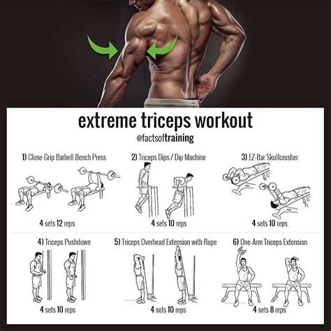 Triceps Workout Routine At Gym for Fat Body | Fitness and Workout ABS ...