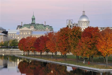 9 Reasons to Visit Montreal in the Fall | Visit canada, Dream vacations ...