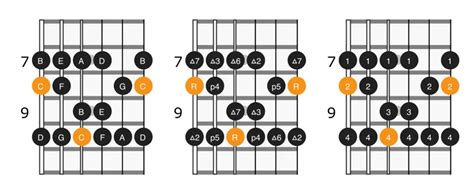 C Major Scale on Guitar: Positions & Theory