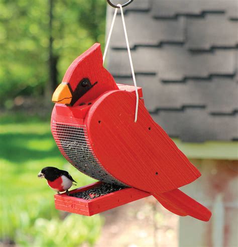 Bird Feeders For Cardinals | Bruin Blog