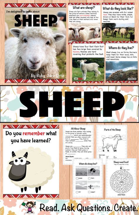 12 4H sheep ideas | sheep, animal science, facts for kids