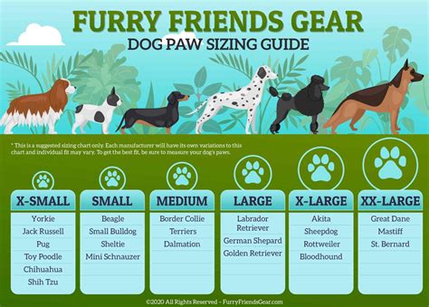 Dog Paw Size Chart, Best 3 Ways To Size Dog's Paws (Helpful)