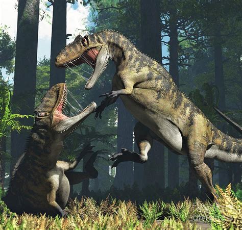 Metriacanthosaurus Dinosaurs Fighting Photograph by James Kuether ...