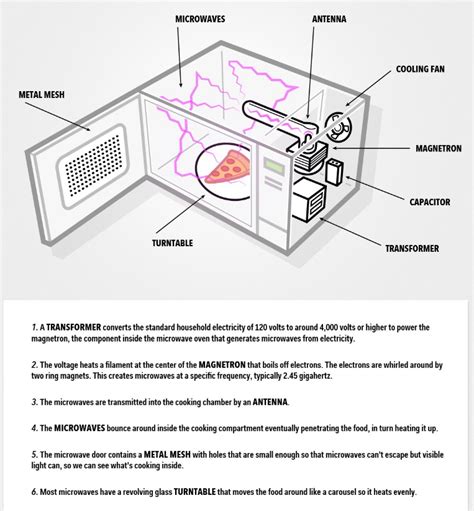 Microwave Repair in Denver | Lee's Appliance Repair