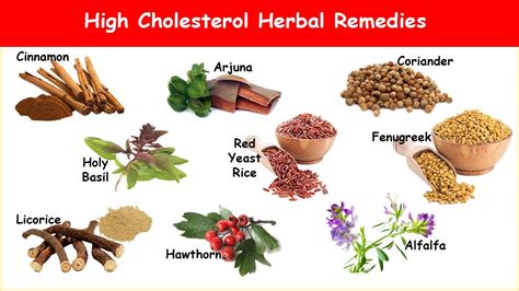 9 High Cholesterol Herbs; Reduces LDL & Increases HDL! - YouTube