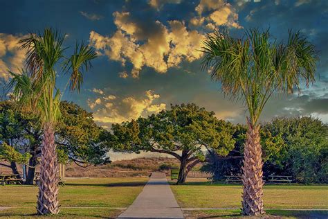 Huntington Beach State Park Entrance to Beach Photograph by TJ Baccari ...