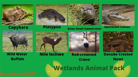 Wetland animal pack reveal at Planet Zoo Nexus - Mods and community