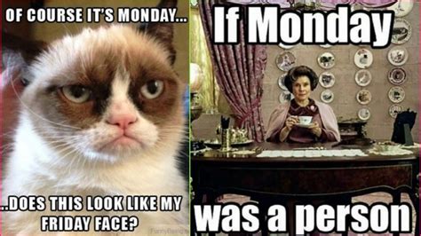 Monday Morning Jokes & Funny Images: Best WhatsApp Messages, Memes ...