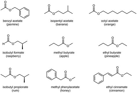 Ester Examples