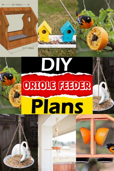 20 DIY Oriole Feeder Plans For Your Garden - DIYnCrafty