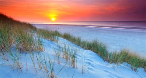 nature, Landscape, Sunset, Netherlands, Beach, Sand, Dune, Sea, Purple ...