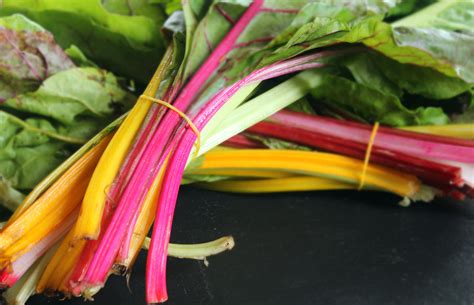 Rainbow Chard: Farmer's Market Finds - Erin Dishes Nutrition