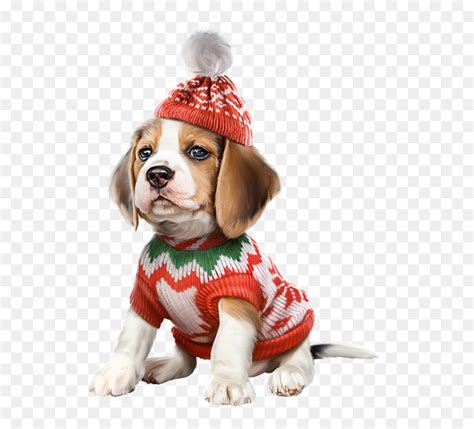 Transparent Beagle Clipart - Beagle Christmas Puppy, HD Png Download - vhv