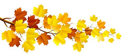 transparent background fall leaf clipart - Clip Art Library