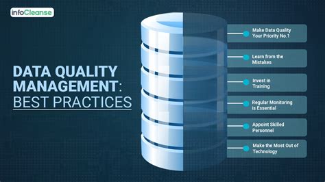 Data Quality Management: Best Practices You Should Follow