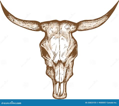 Bull Horns Drawing | www.pixshark.com - Images Galleries With A Bite!