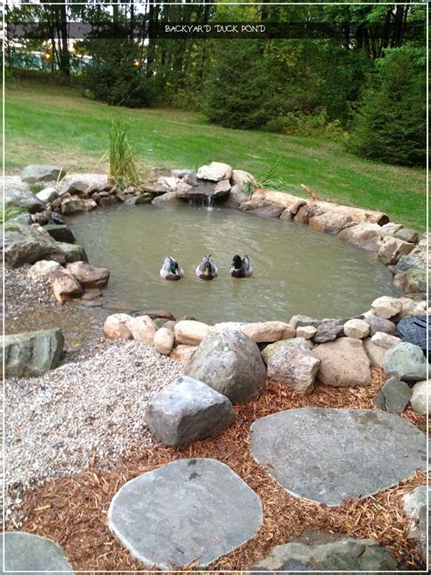 Backyard Duck Pond 2021 | Backyard ducks, Ponds backyard, Chickens backyard