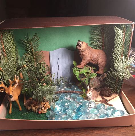 Diorama Forrest Biome. Deciduous Forrest | Habitats projects ...