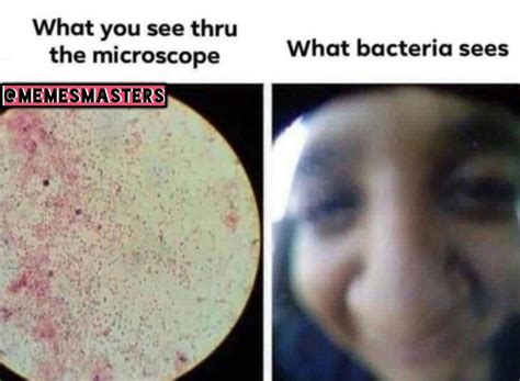 Biology meme | Science memes funny, Biology jokes, Science memes