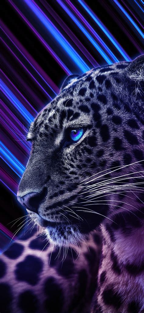 Purple Cheetah Backgrounds