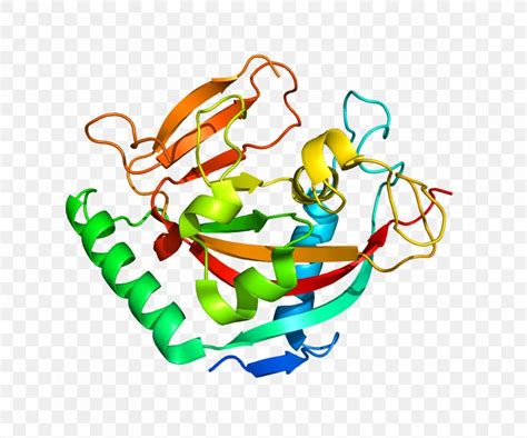 Protein Structure Cartoon