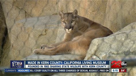 Made in Kern County: CALM Zoo - YouTube