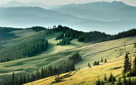 Flower field photo printable Ukrainian landscape digital download ...