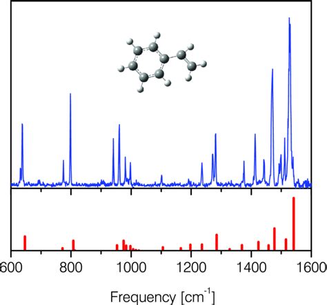 Infrared spectroscopy of aniline ions