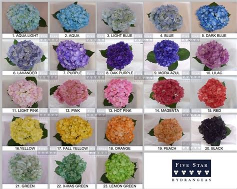 Hydrangea Color Chart | Hydrangea colors, Hydrangea flower, Hydrangea