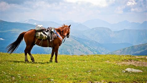 Wallpaper : landscape, mountains, wilderness, steppe, grassland ...