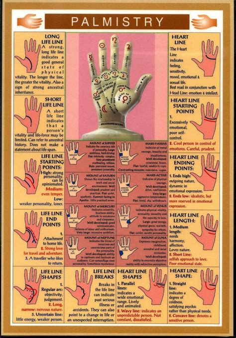 PALMISTRY-The Art Of Palm reading | Information India